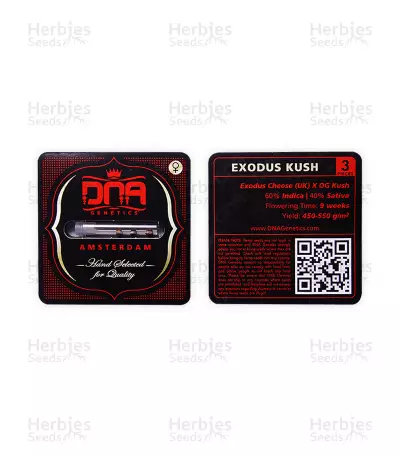 Exodus Kush (DNA Genetics) Cannabis-Samen