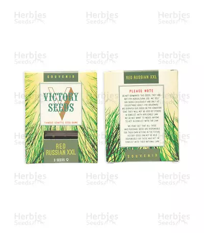 Red Russian XXL (Victory Seeds) Cannabis-Samen