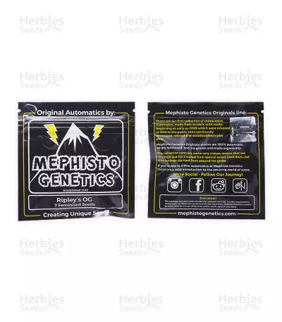 Ripley's OG Auto strain seeds