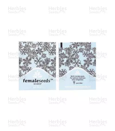 ICE (Female Seeds) Cannabis-Samen