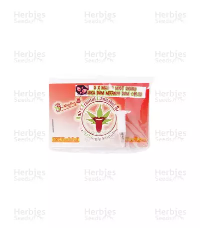 Mango Mist Shake (KFC Seeds) Cannabis-Samen