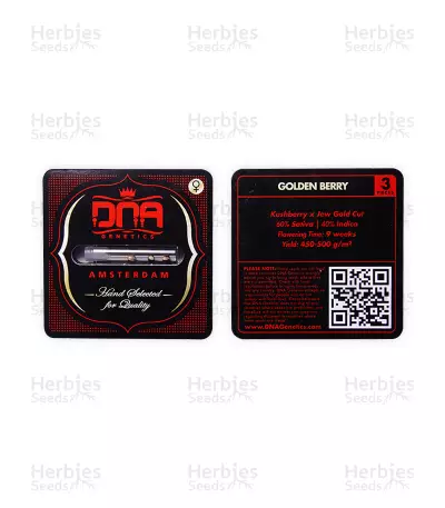 Golden Berry (DNA Genetics) Cannabis-Samen