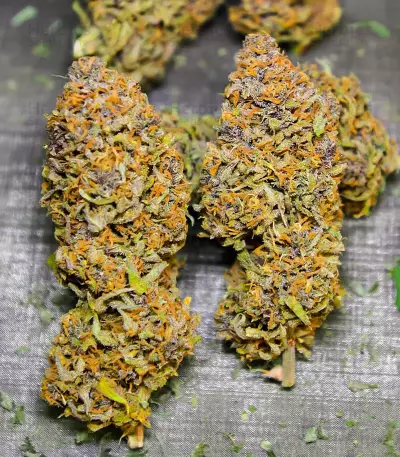 Runtz Autoflower feminisierte Samen (EGS)
