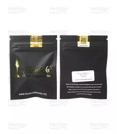 Amnesia CBD Pure Auto Samen feminisiert (Humboldt Seeds Organization)