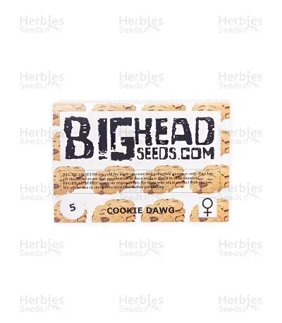 Cookie Dawg (Big Head Seeds) Cannabis-Samen