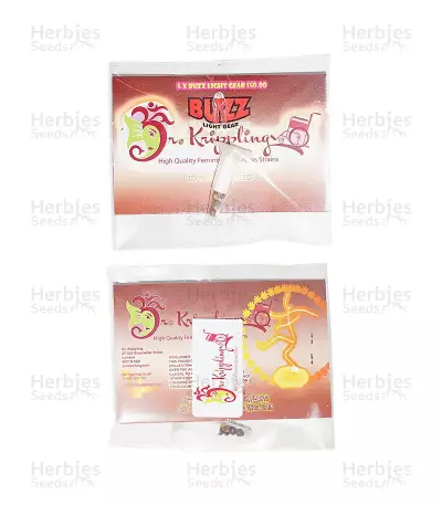 Buzz Light Gear (Dr. Krippling Seeds) Cannabis-Samen