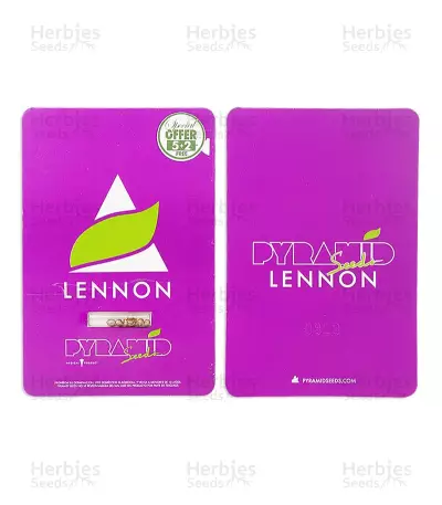 Lennon (Pyramid Seeds) Cannabis-Samen