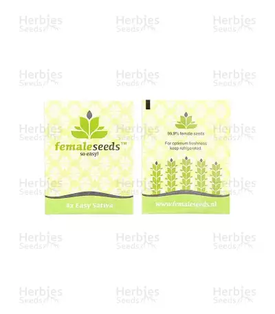 Easy Sativa (Female Seeds) Cannabis-Samen