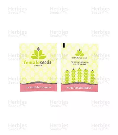 BubbleGummer (Female Seeds) Cannabis-Samen