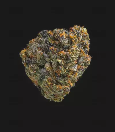 Girl Scout Cookies (Blackskull Seeds) Cannabis-Samen