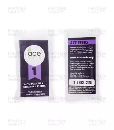 Auto Malawi x Northern Lights (Ace Seeds) Cannabis-Samen