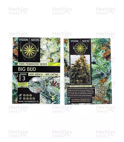 Big Bud (Vision Seeds) Cannabis-Samen