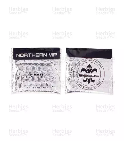 Northern VIP (VIP seeds) Cannabis-Samen
