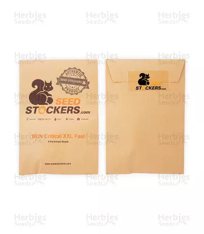 BCN Critical XXL Fast (Seedstockers) Cannabis-Samen