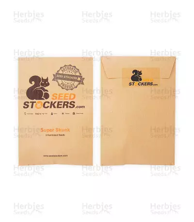 Super Skunk (Seedstockers) Cannabis-Samen