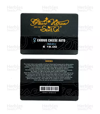 Exodus Cheese Auto (GHS) Cannabis-Samen