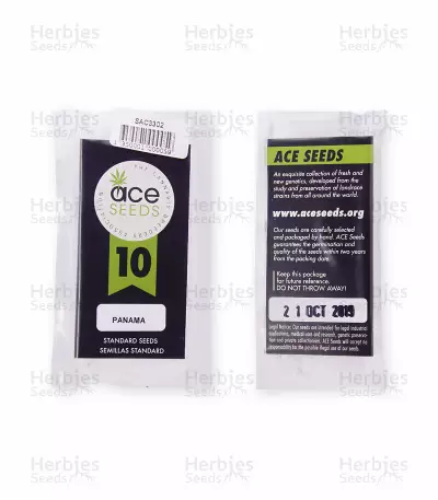 Panama regular (Ace Seeds) Cannabis-Samen