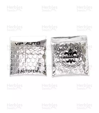 VIP Auto (VIP seeds) Cannabis-Samen