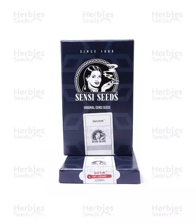 Shiva Skunk Automatic (Sensi Seeds) Cannabis-Samen