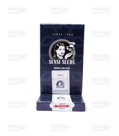 Afghani # 1 Automatic (Sensi Seeds) Cannabis-Samen