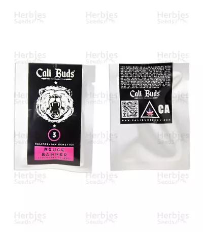 Bruce Banner Auto (Cali Buds Seeds) Cannabis-Samen