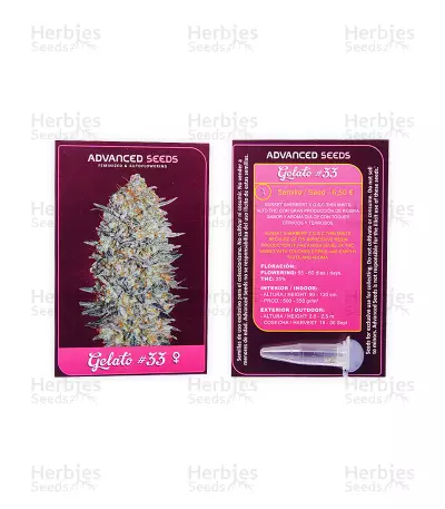 Gelato 33 (Advanced Seeds) Cannabis-Samen