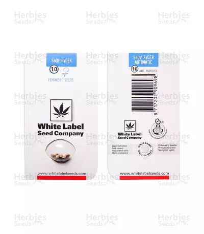 Snow Ryder Automatic (White Label) Cannabis-Samen