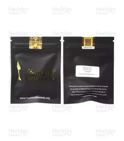 Mango OG Auto Samen feminisiert (Humboldt Seeds Organization)