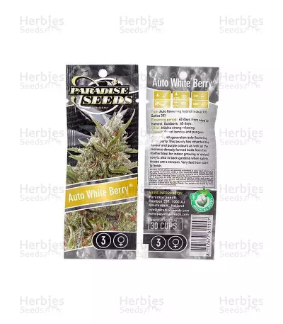 Auto Whiteberry (Paradise Seeds) Cannabis-Samen