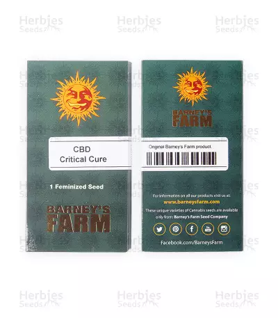 CBD Critical Cure (Barney's Farm) Cannabis-Samen