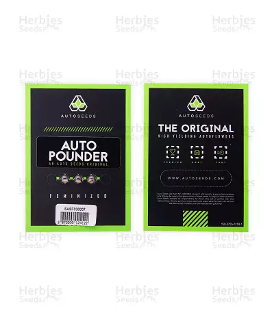 Pounder Auto (Auto Seeds) Cannabis-Samen