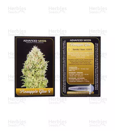 Pineapple Glue (Advanced Seeds) Cannabis-Samen