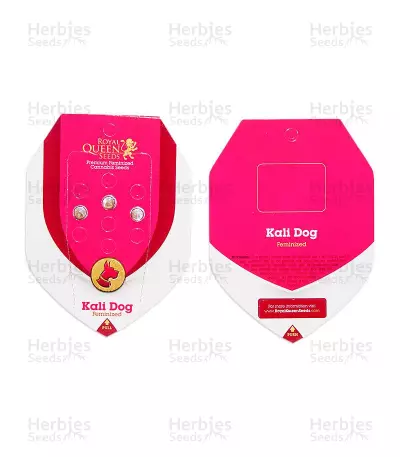 Kali Dog (RQS) Cannabis-Samen