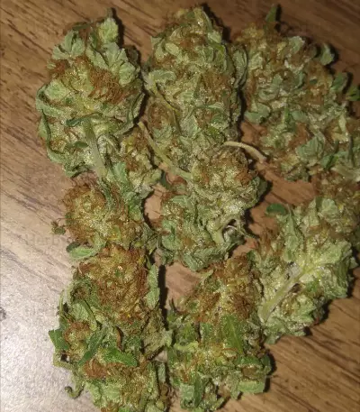 Bruce Banner #3 Fast strain
