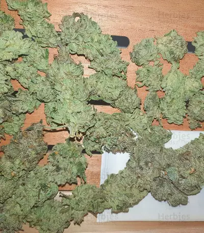 Bay Burger feminisierte Samen (Delicious Seeds)