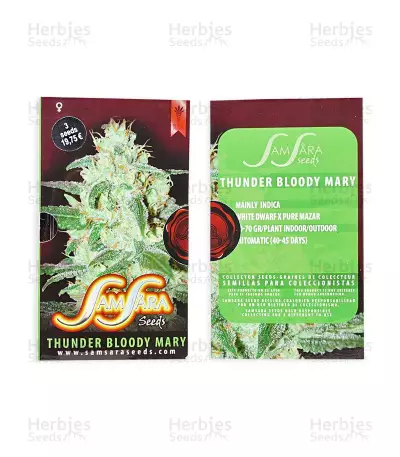 Thunder Bloody Mary Auto (Samsara Seeds) Cannabis-Samen