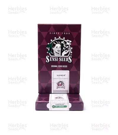 Silver Haze (Sensi Seeds) Cannabis-Samen