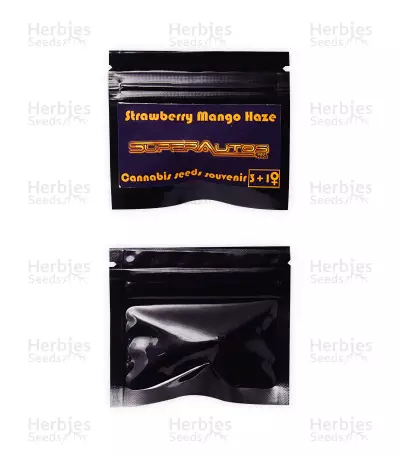 Strawberry Mango Haze Auto (Flash Seeds) Cannabis-Samen