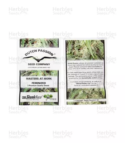 CBD Skunk Haze (Dutch Passion) Cannabis-Samen