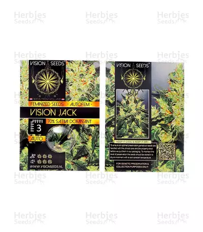 Vision Jack Auto (Vision Seeds) Cannabis-Samen