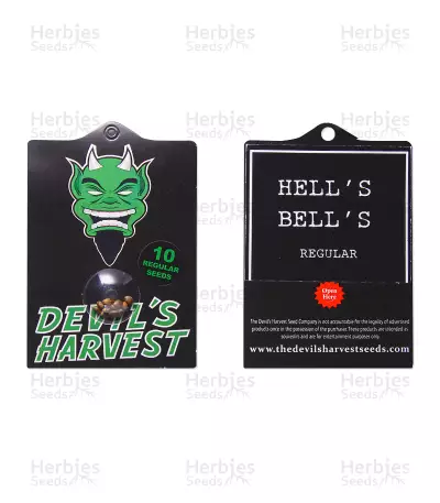 Hell's Bell regular (Devils Harvest Seeds) Cannabis-Samen