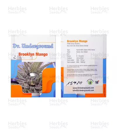 Brooklyn Mango (Dr. Underground) Cannabis-Samen