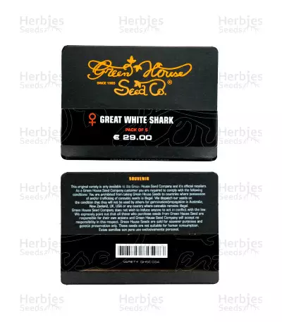 Great White Shark (GHS) Cannabis-Samen