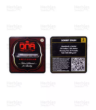 Sorbet Stash (DNA Genetics) Cannabis-Samen
