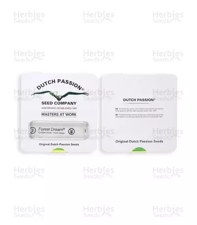 Forest Dream (Dutch Passion) Cannabis-Samen