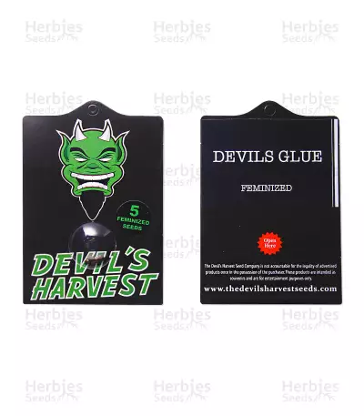 Devils Glue (Devils Harvest Seeds) Cannabis-Samen