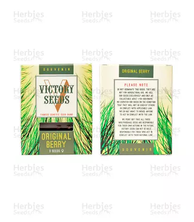 Original Berry (Victory Seeds) Cannabis-Samen