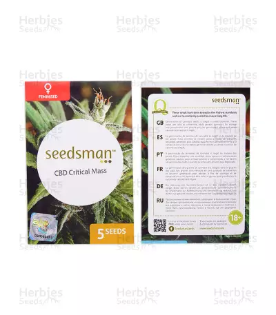 Critical Mass CBD (Seedsman Seeds) Cannabis-Samen