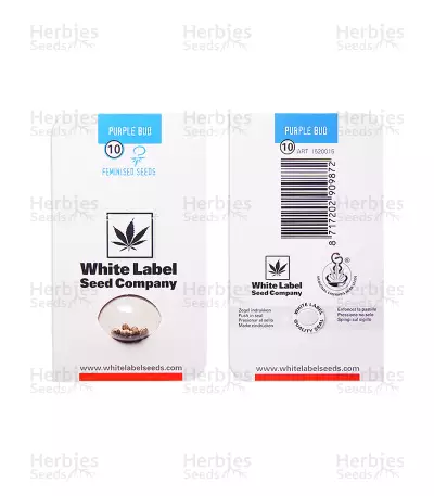 Purple Bud (White Label) Cannabis-Samen