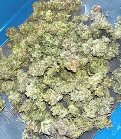 Sour Diesel Autoflower feminisierte Samen (Seedkeepers)
